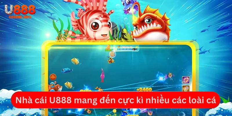 Nhà cái U888 mang đến cực kì nhiều các loài cá